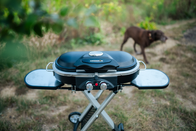 Gridiron Outdoor Tailgate 205 Dual Burner Portable Gas Grill foldable grill