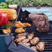 Monument Mesa 200 Gas Grill Green with Steak